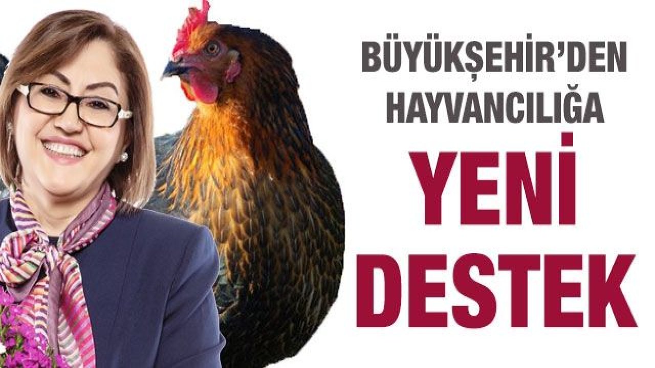 Büyükşehir’den Hayvancılığa Yeni Destek