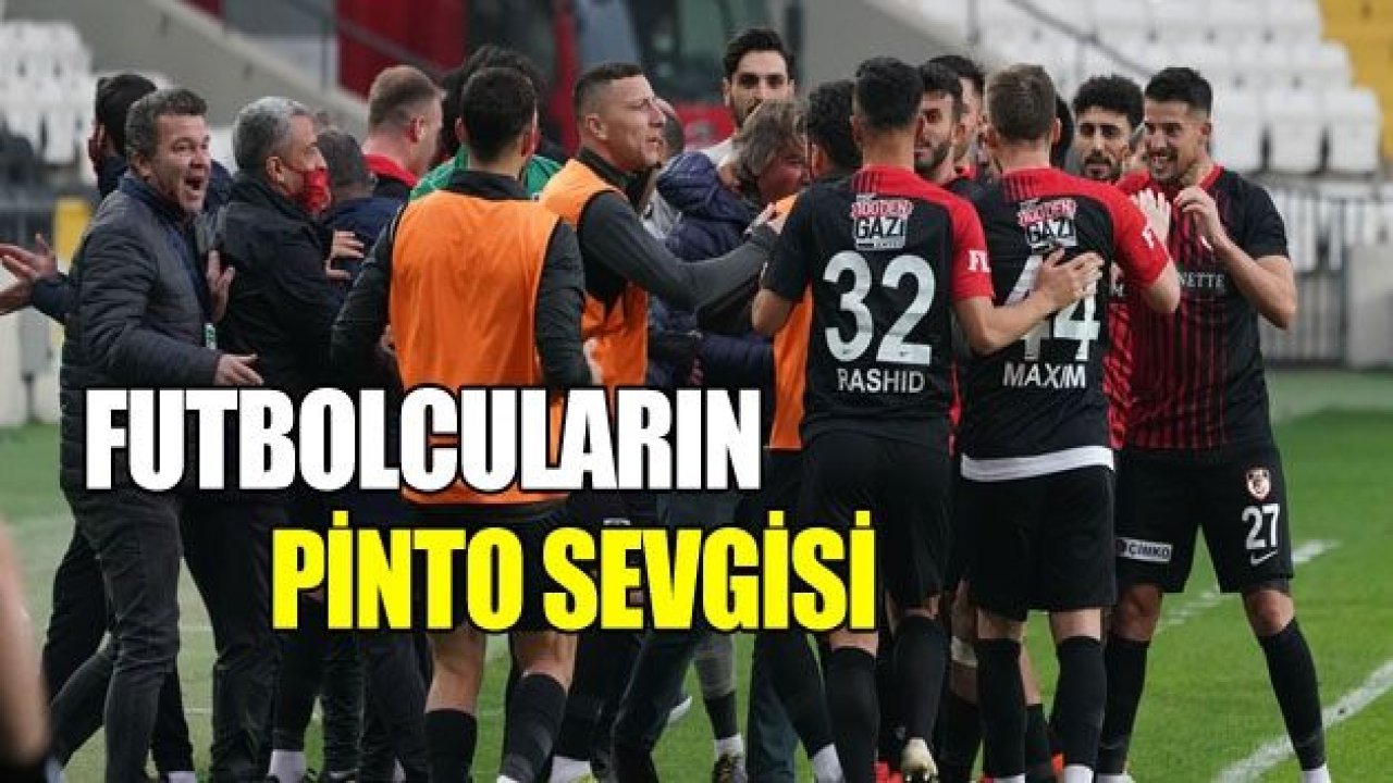 FUTBOLCULARIN PİNTO SEVGİSİ