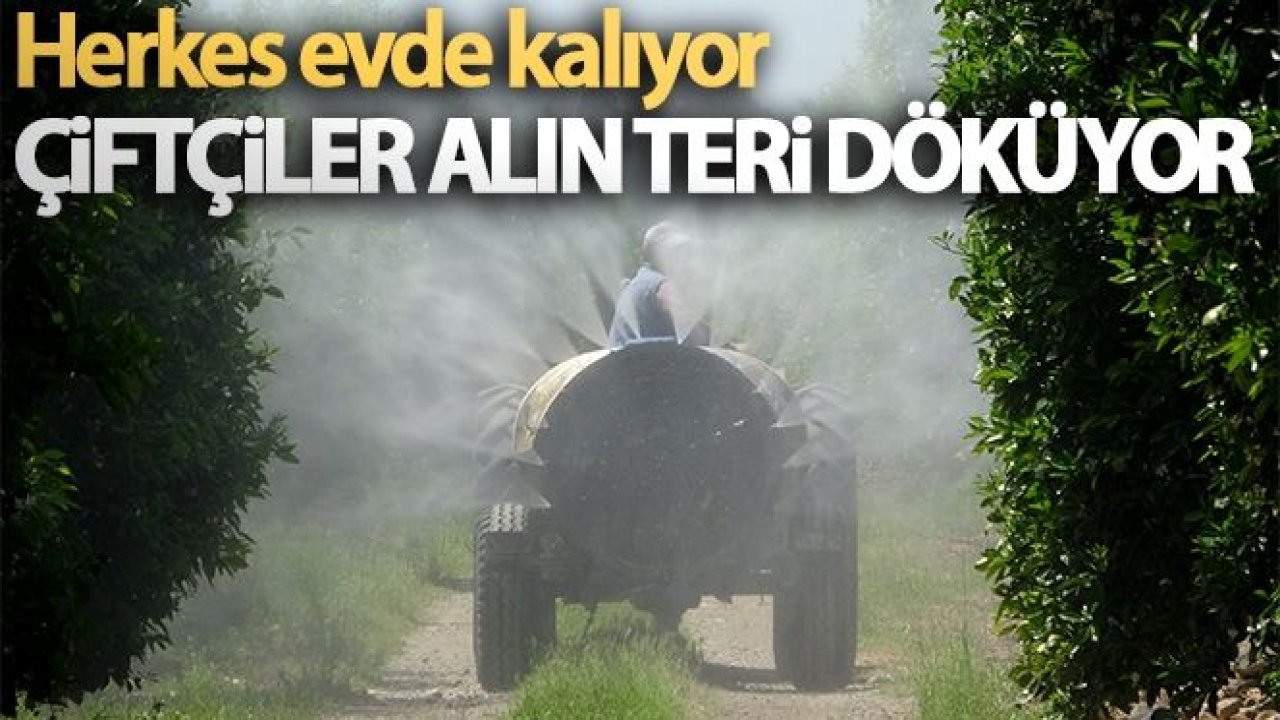 Herkes evde kalıyor, çiftçiler alın teri döküyor