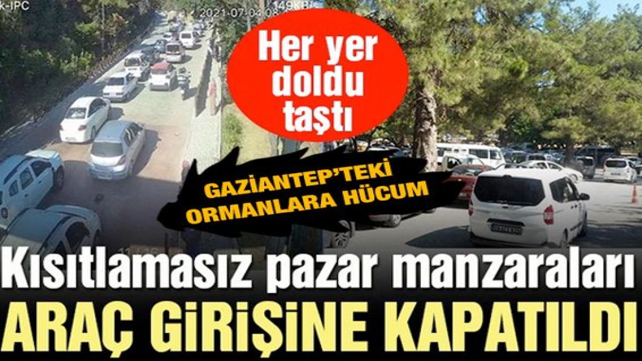 Son Dakika: Gaziantep’teki ormanlara hücum...Mesire Alanı Giriş Gişeleri Önünde Uzun Kuyruklar