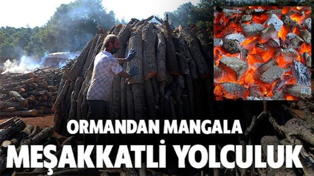 Mangal kömürünün zorlu yolculuğu