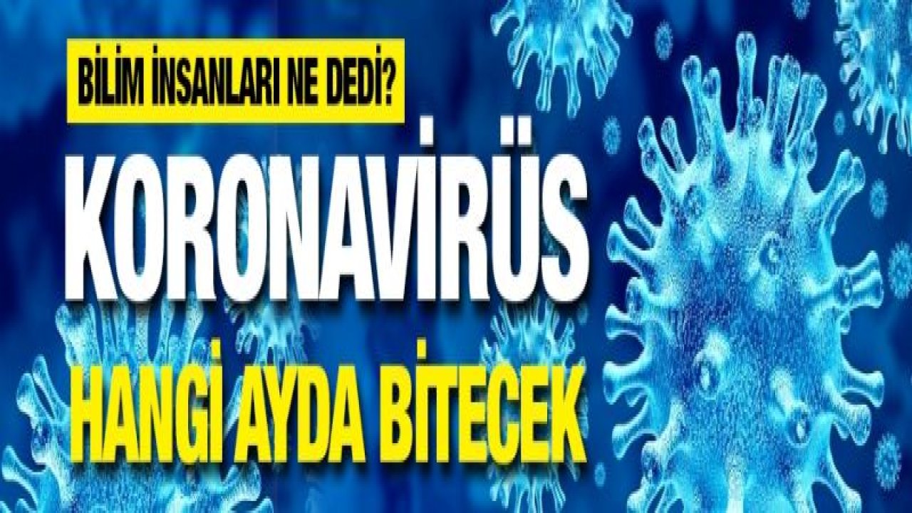 Koronavirüs hangi ayda bitecek