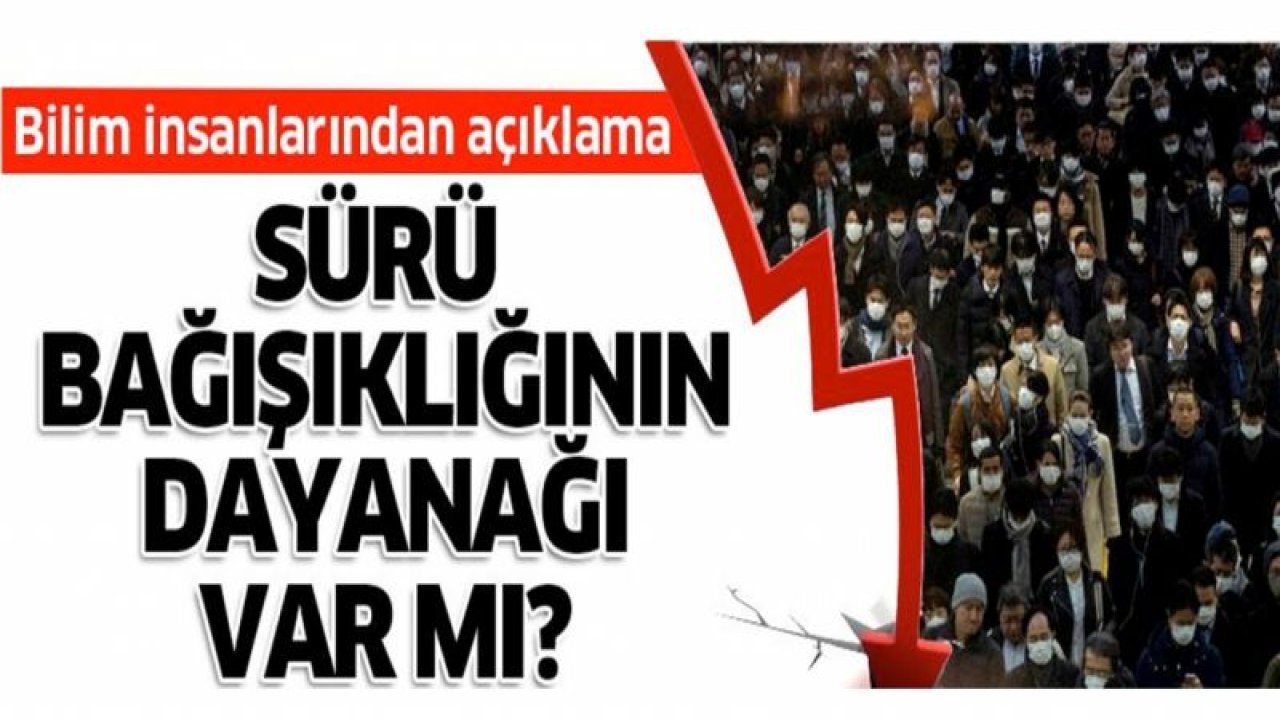 Sürü bağışıklığının dayanağı var mı? Bilim insanlarından açıklama