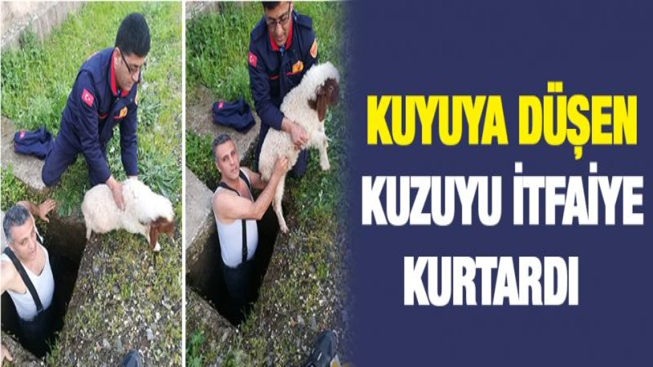 Kuyuya düşen kuzuyu itfaiye kurtardı