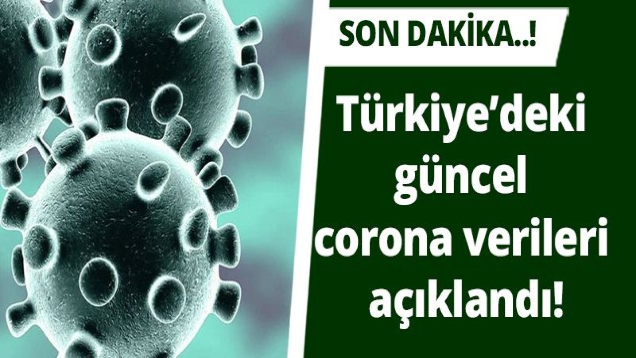 Son dakika… Güncel corona verileri açıklandı!19 Mayıs 2020