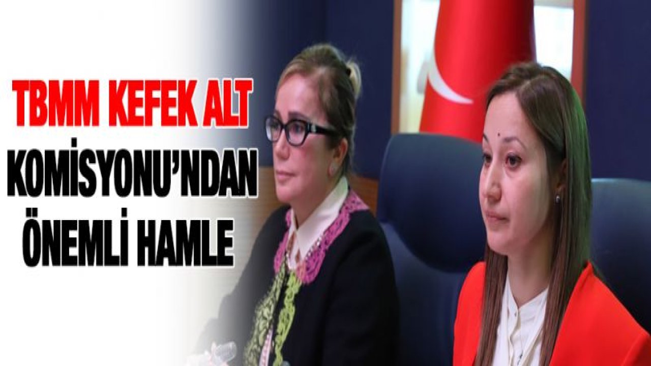 TBMM KEFEK ALT KOMİSYONU'NDAN ÖNEMLİ HAMLE