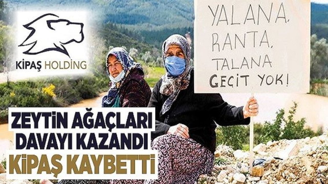 Son Dakika: Komşu ilin 'DEV HOLDİNG'ine Darbe!Zeytin ağaçları davayı kazandı, Kahramanmaraş Kipaş kaybetti