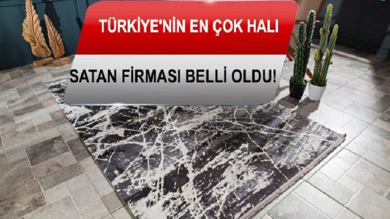 Türkiye'nin En Çok Halı Satan Firması Belli Oldu!