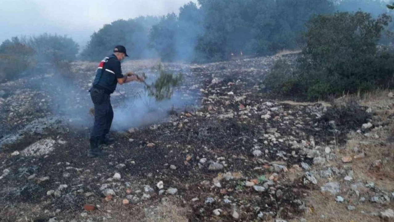 Video Haber: Gaziantep'te korkutan orman yangını 5 saatte kontrol altına alındı