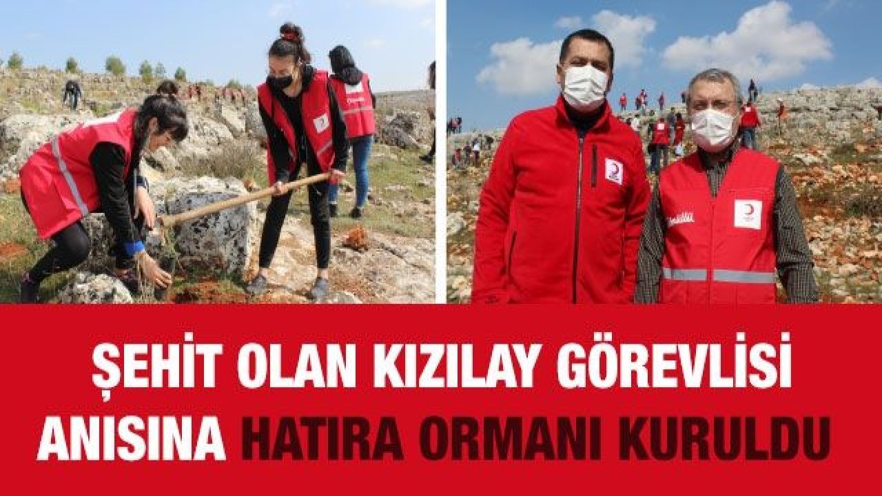 Suriye'de şehit olan Kızılay görevlisi anısına hatıra ormanı kuruldu