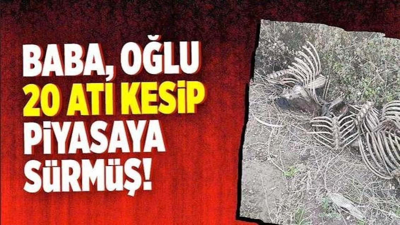 Mide bulandıran skandal patlak verdi: Baba oğlu 20 atı kesip piyasaya sürmüş