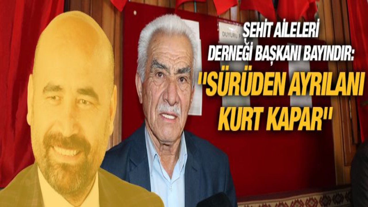 Ejder Demir'e 'kurt'lu gönderme