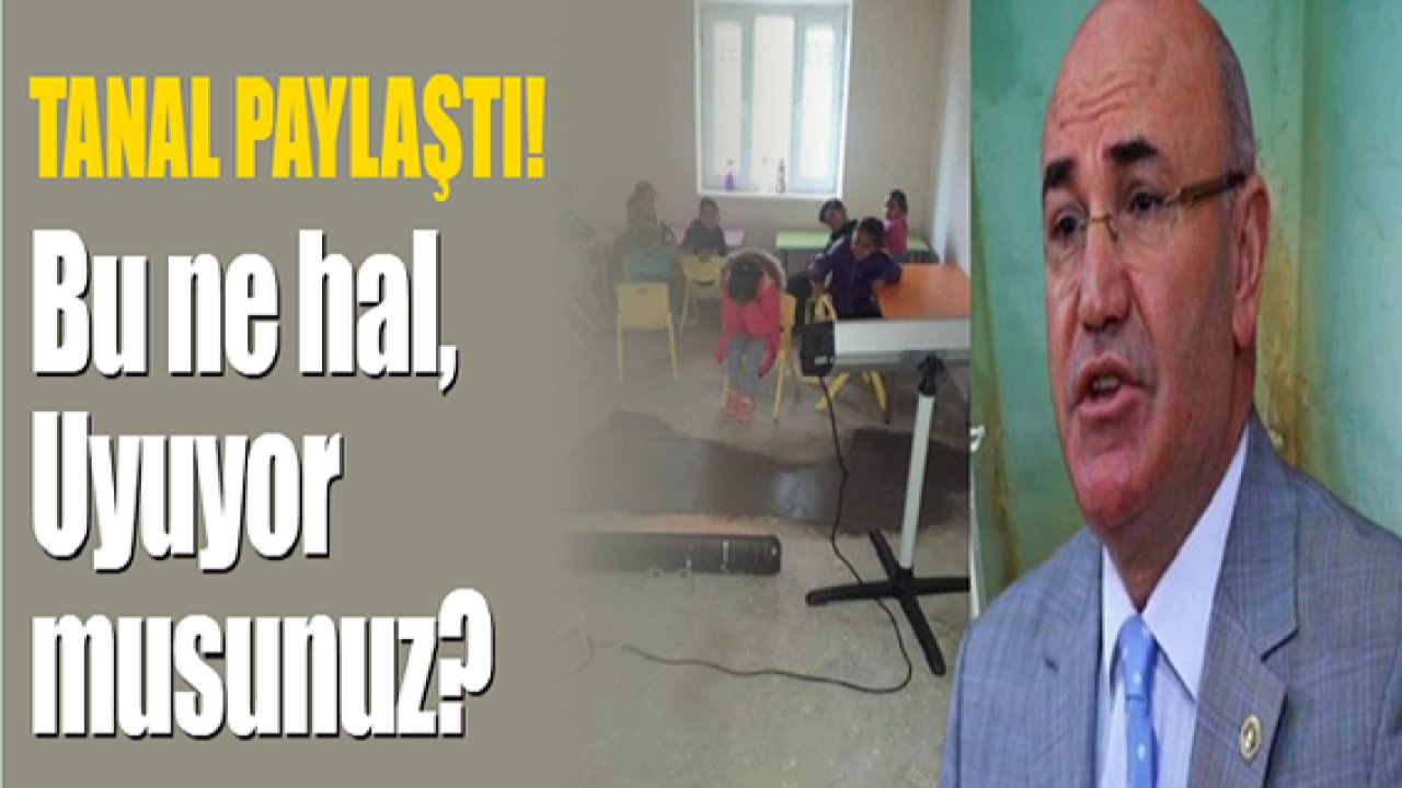 Tanal paylaştı: Bu ne hal, Uyuyor musunuz? olaymedya.com yazdı!Yetkililer Devreye Geçti...