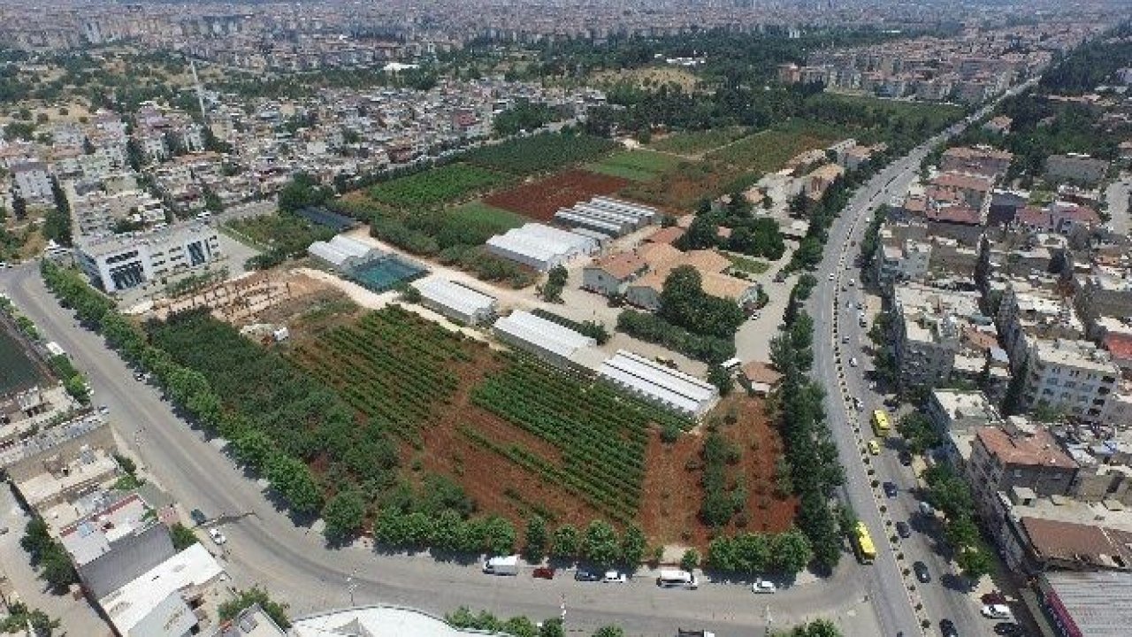 Gaziantep'te karbon emisyonu azaldı