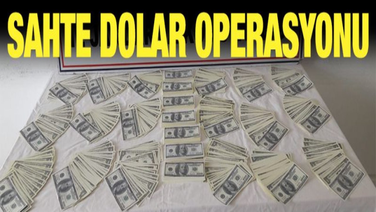 İslahiye'de sahte dolar operasyonu