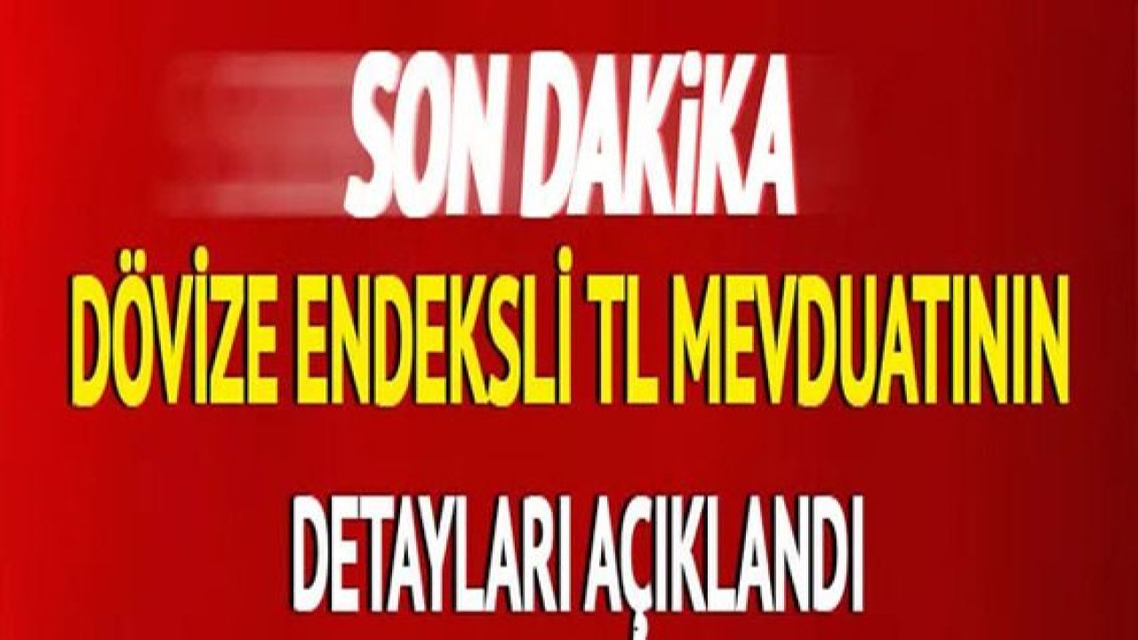 Son dakika haberi: Dolar'da yaşanan sert düşüş sonrası merakla bekleniyordu! Bakan Nebati açıkladı: TL mevduatı düzenlemesi nasıl olacak?