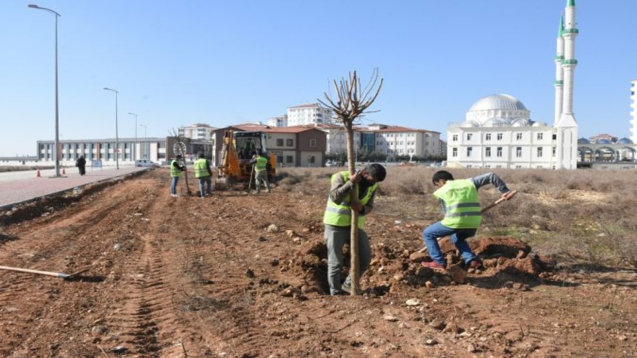 Şahinbey Belediyesi 4.215.000 Ağaç Dikti