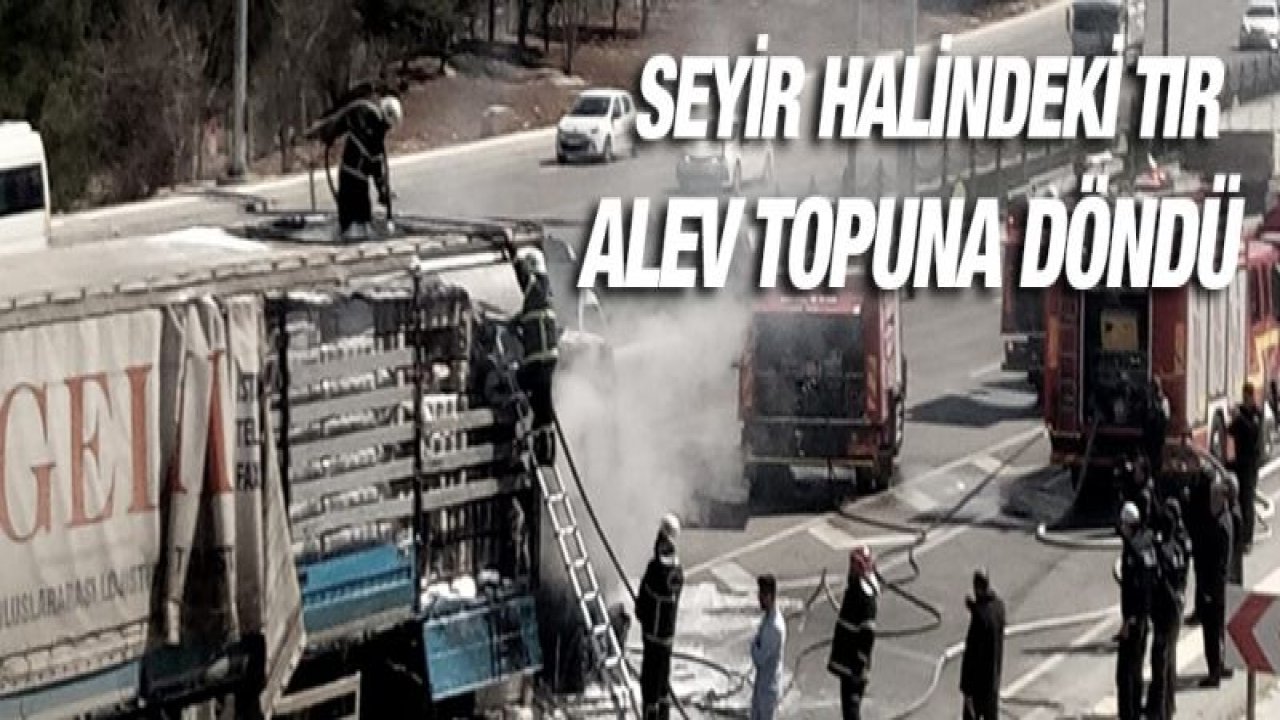 Seyir halindeki tır alev topuna döndü