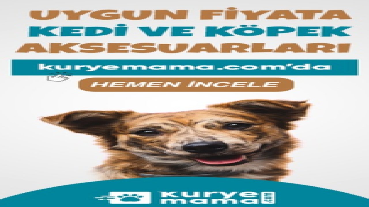 Kuryemama.com Kampanya da Yavru Kedi Seti Tüy Bakım Ürünleri Kuryemama.com Online Al