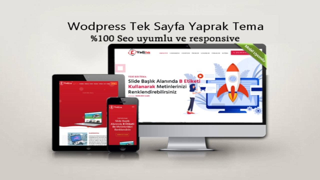 Wordpress Haber Temaları