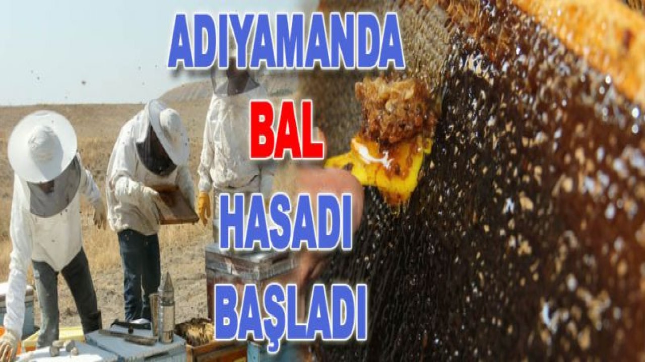 Adıyaman'da Bal Hasadı Başladı