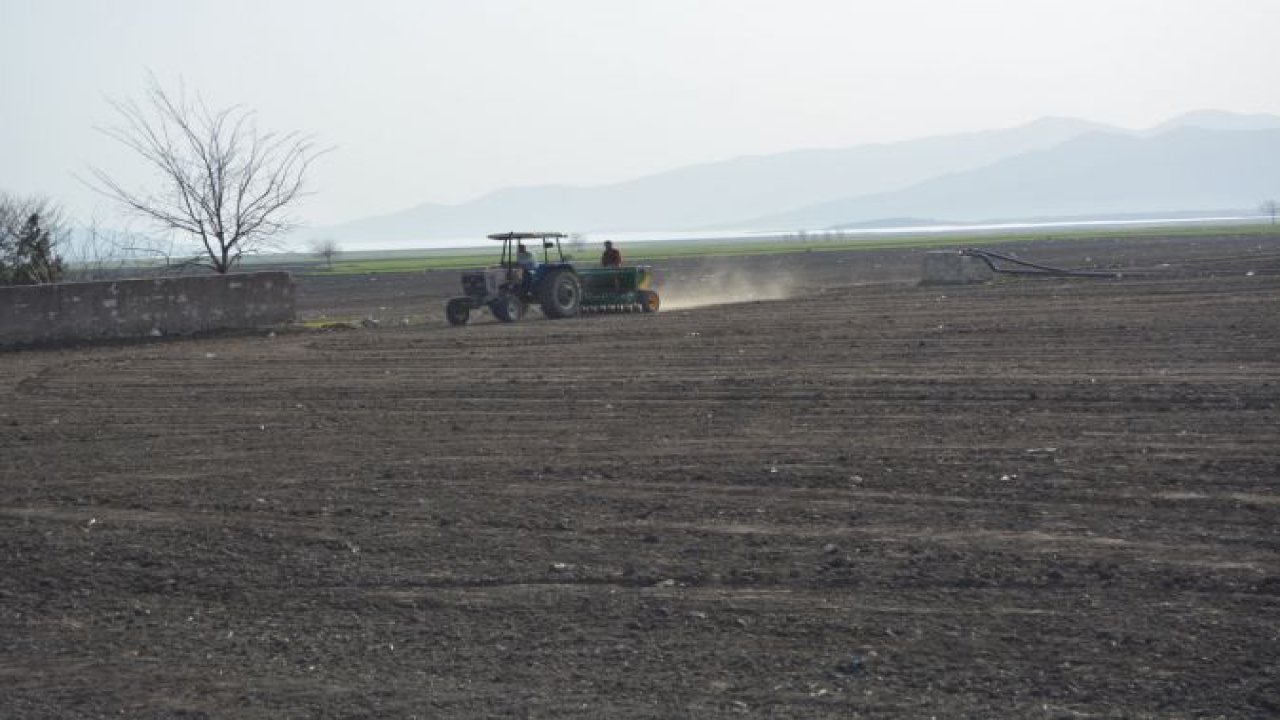 Tescilli İslahiye biberinin tohumları toprakla buluşuyor