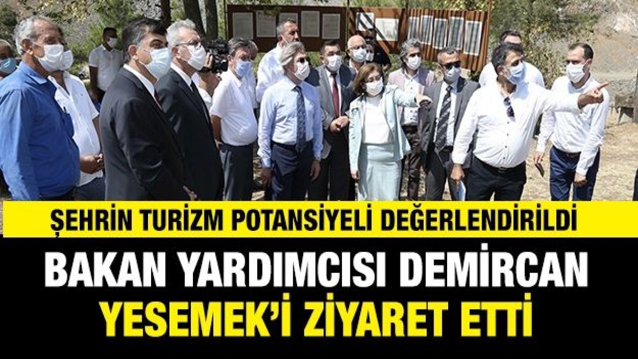 BAKAN YARDIMCISI DEMİRCAN YESEMEK’İ ZİYARET ETTİ