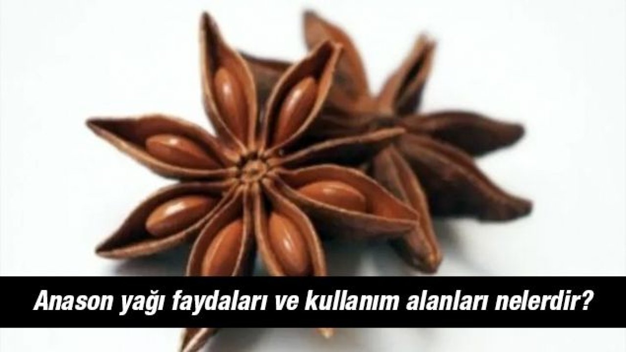 Anason yağı faydaları ve kullanım alanları nelerdir?