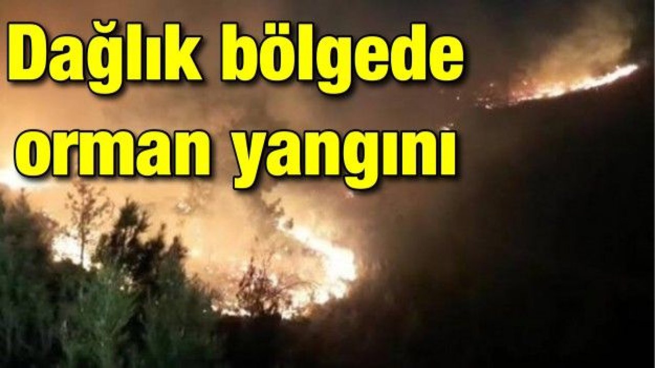 Dağlık bölgede orman yangını