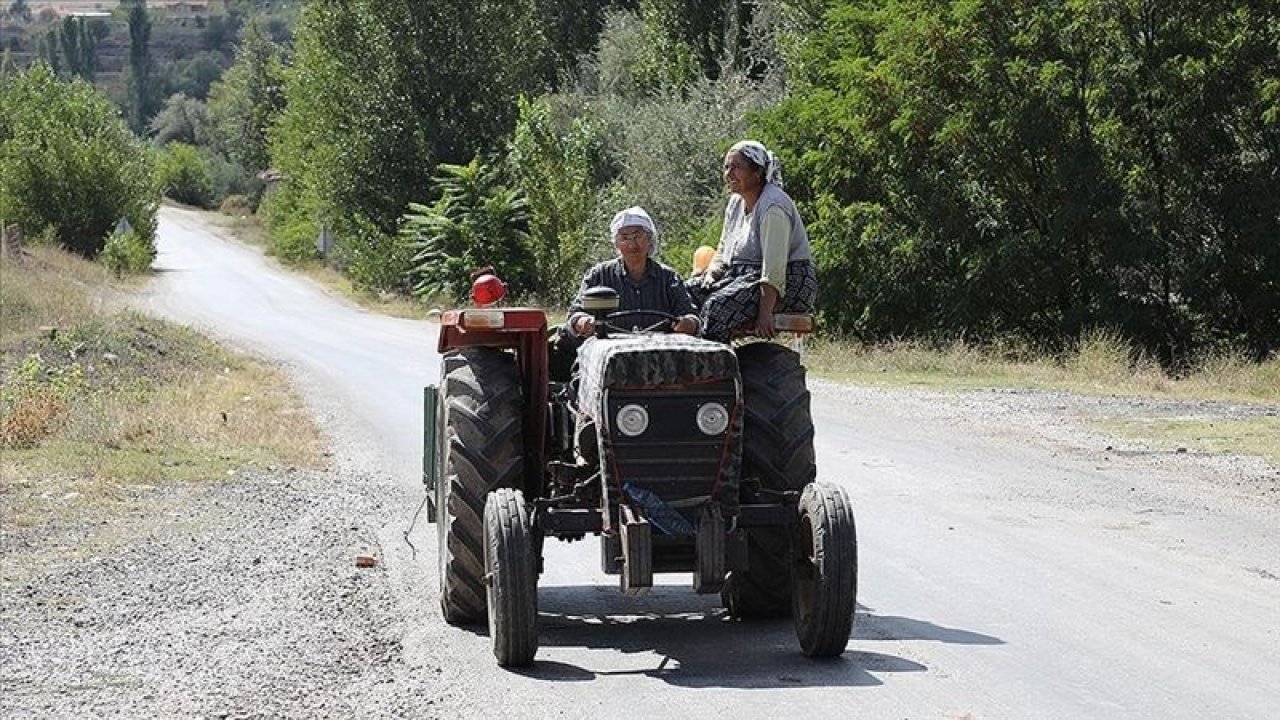 Gelinini traktörle çiğnedi...85 yaşındaki Kayınbaba gelinini 49 yaşındaki gelinini çiğnedi