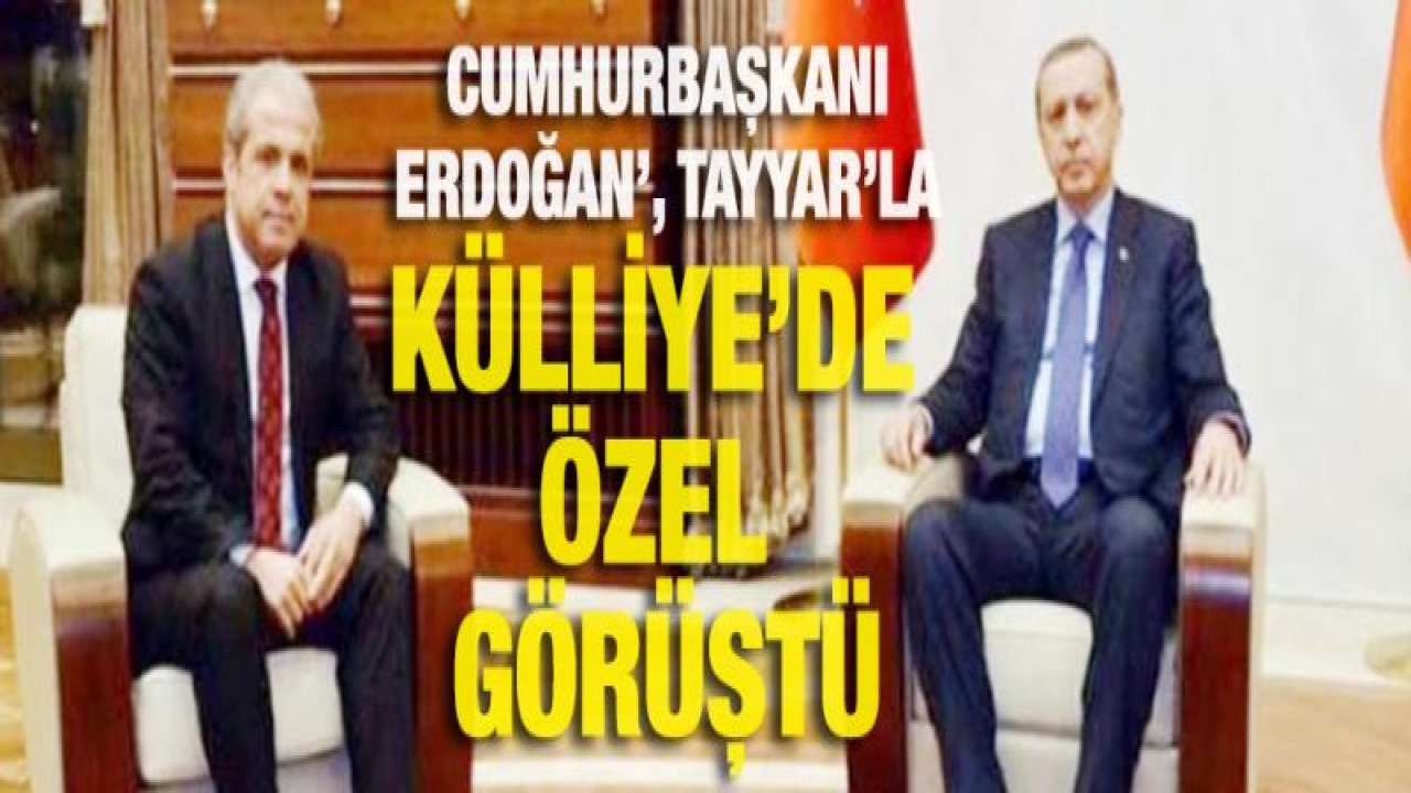 Cumhurbaşkanı Erdoğan, Şamil Tayyar'la ne görüştü?