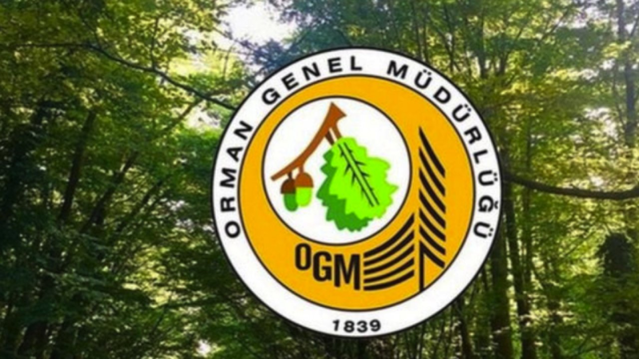 Orman Genel Müdürlüğü (OGM) İŞKUR üzerinden 5 bin geçici işçi alacak! İşte OGM işçi alımı başvuru şartları! Gaziantepden de başvuru alınacak