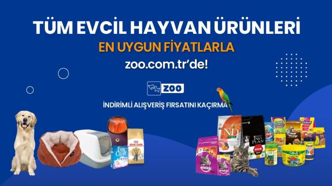 Kedi Maması Ekonomik Fiyatlarla Zoo.com.tr ‘de!