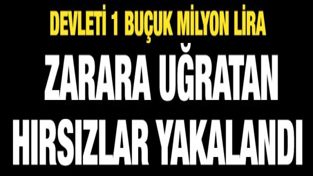 Devleti 1 buçuk milyon lira zarara uğratan hırsızlar yakalandı