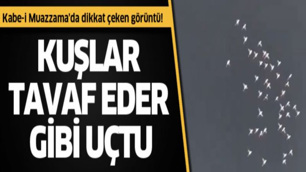 Kabe-i Muazzama'da dikkat çeken görüntü! Kuşlar tavaf eder gibi uçtu