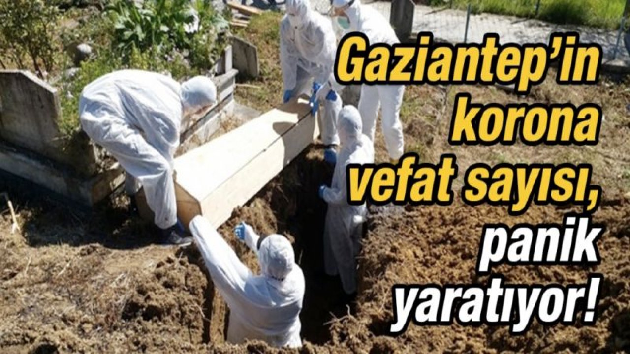 Gaziantep’in korona vefat sayısı, panik yaratıyor!