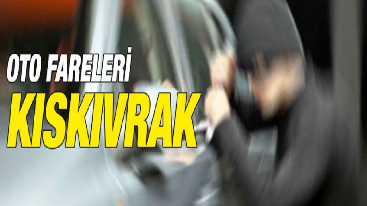 HIRSIZLIK ŞÜPHELİLERİ YAKALANDI