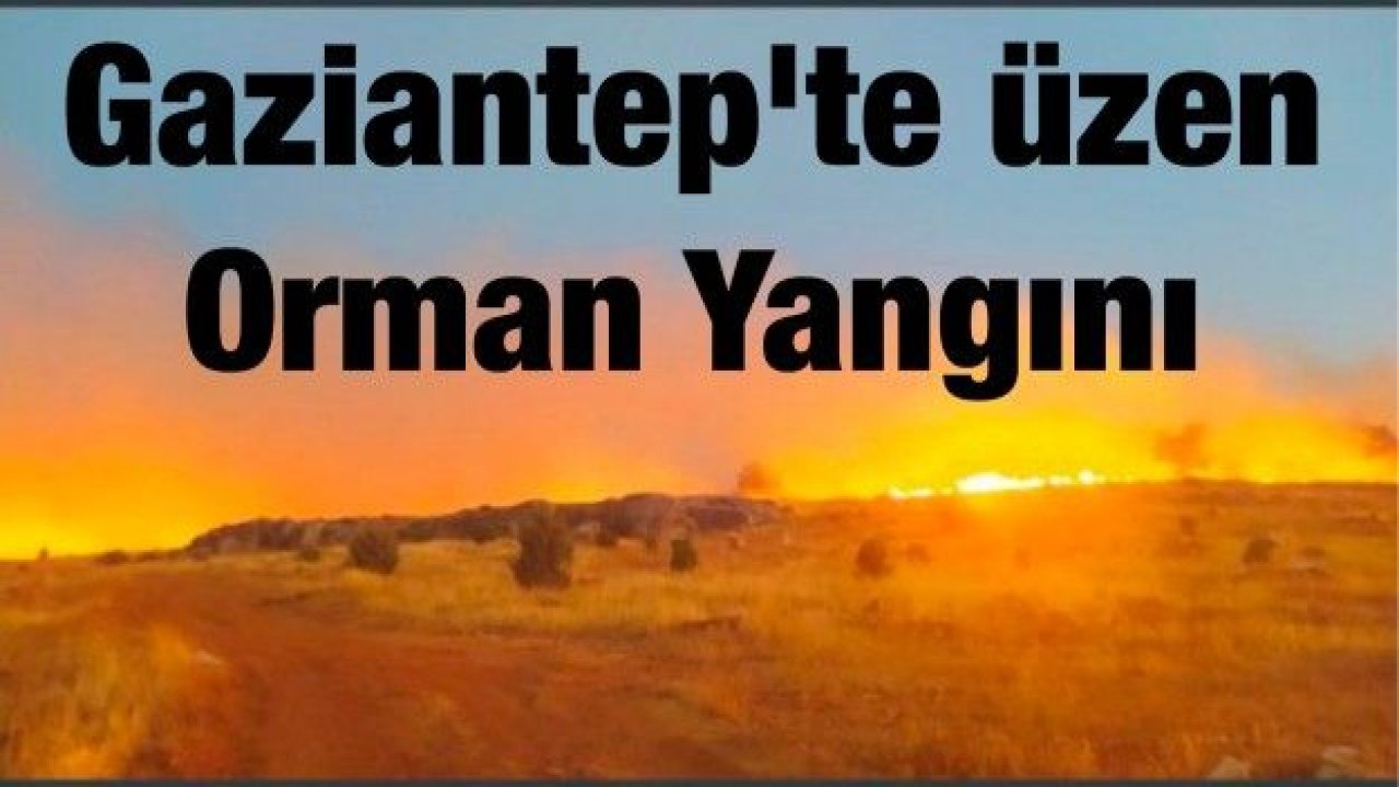 Gaziantep'te Orman Yangını