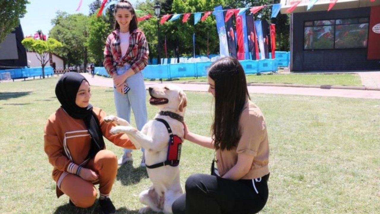 Jandarmanın kurduğu stant yoğun ilgi gördü