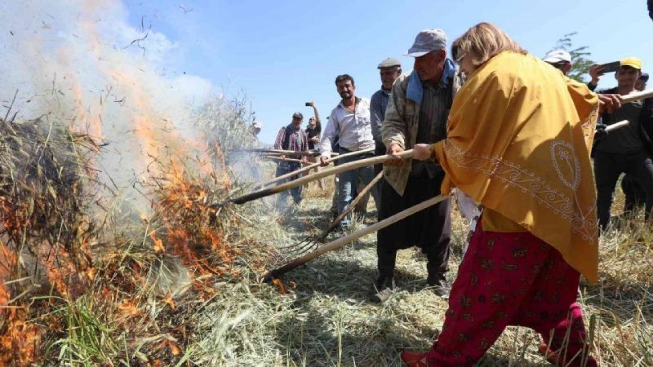 Gaziantep’in Araban ilçesinde  Araban Firik ve Sarımsak Festivali başladı