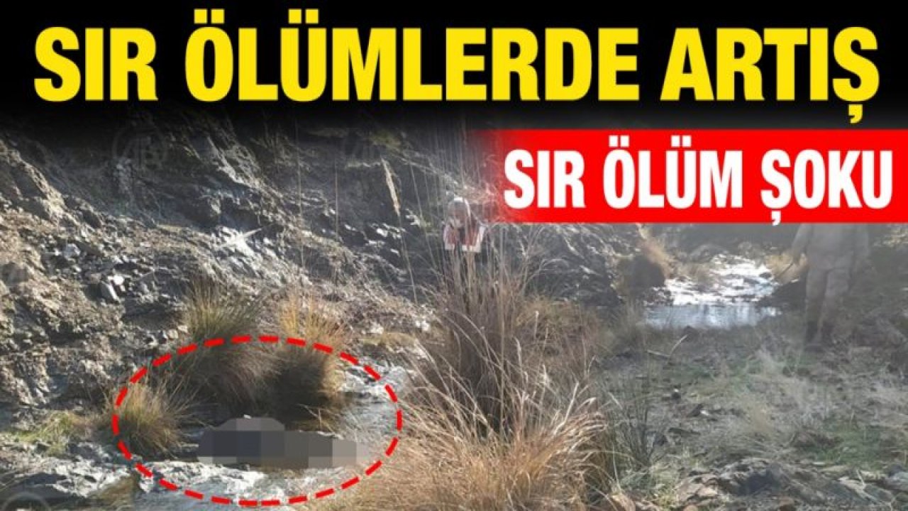 Sır ölümlerde artış... Sır ölüm şoku...İslahiye ilçesinde ırmakta erkek cesedi bulundu