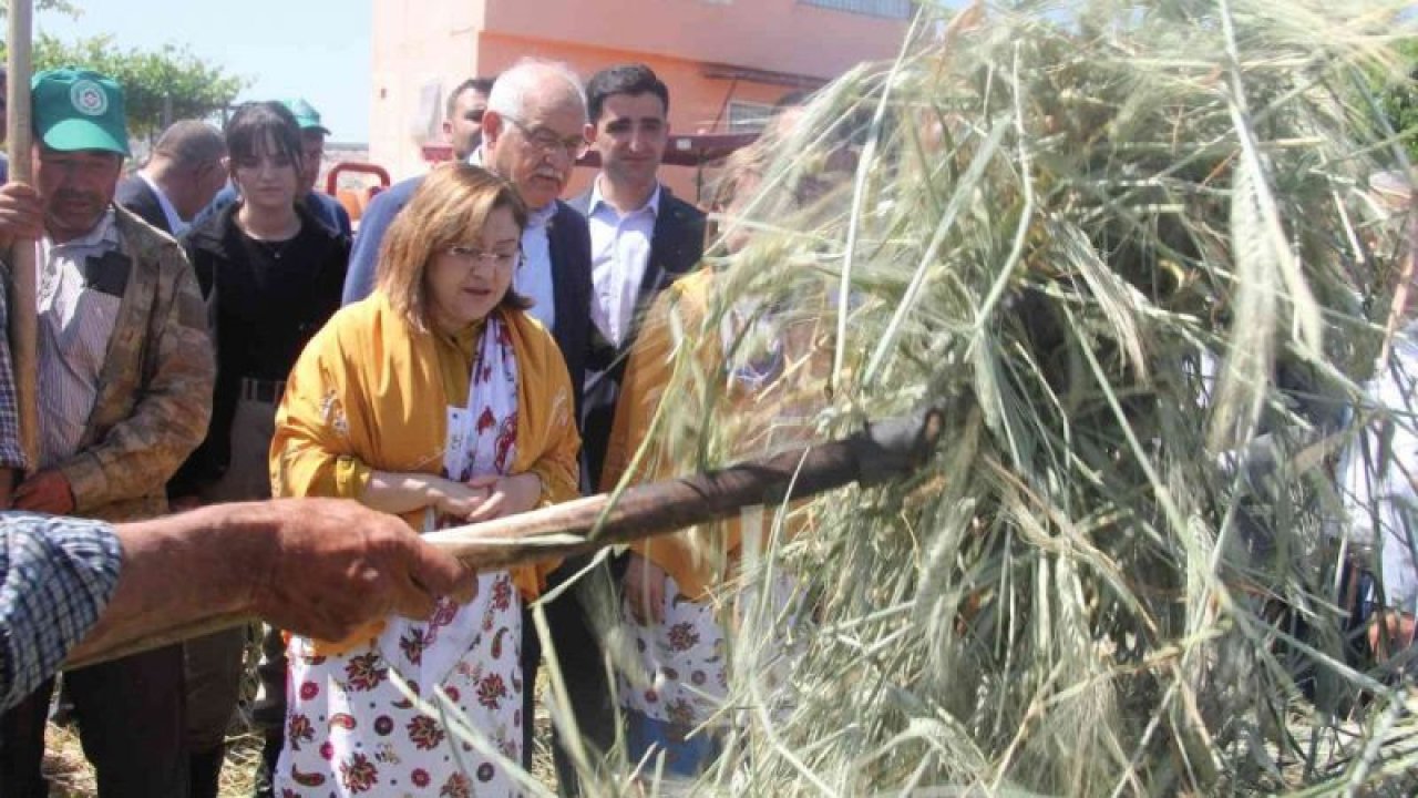 Gaziantep yöresine ait geleneksel yöntemlerle yapılan firik ütme başladı