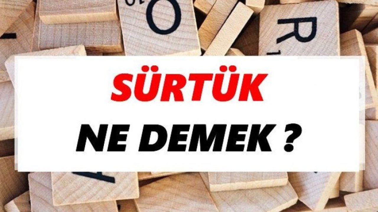 Günün kelimesi 'SÜRTÜK' Kelimesinin Anlamı Ne Demek?