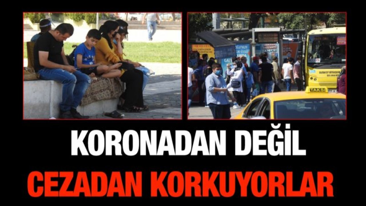 Koronadan değil cezadan korkuyorlar