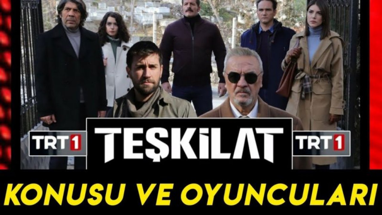 Teşkilat Dizisi Konusu