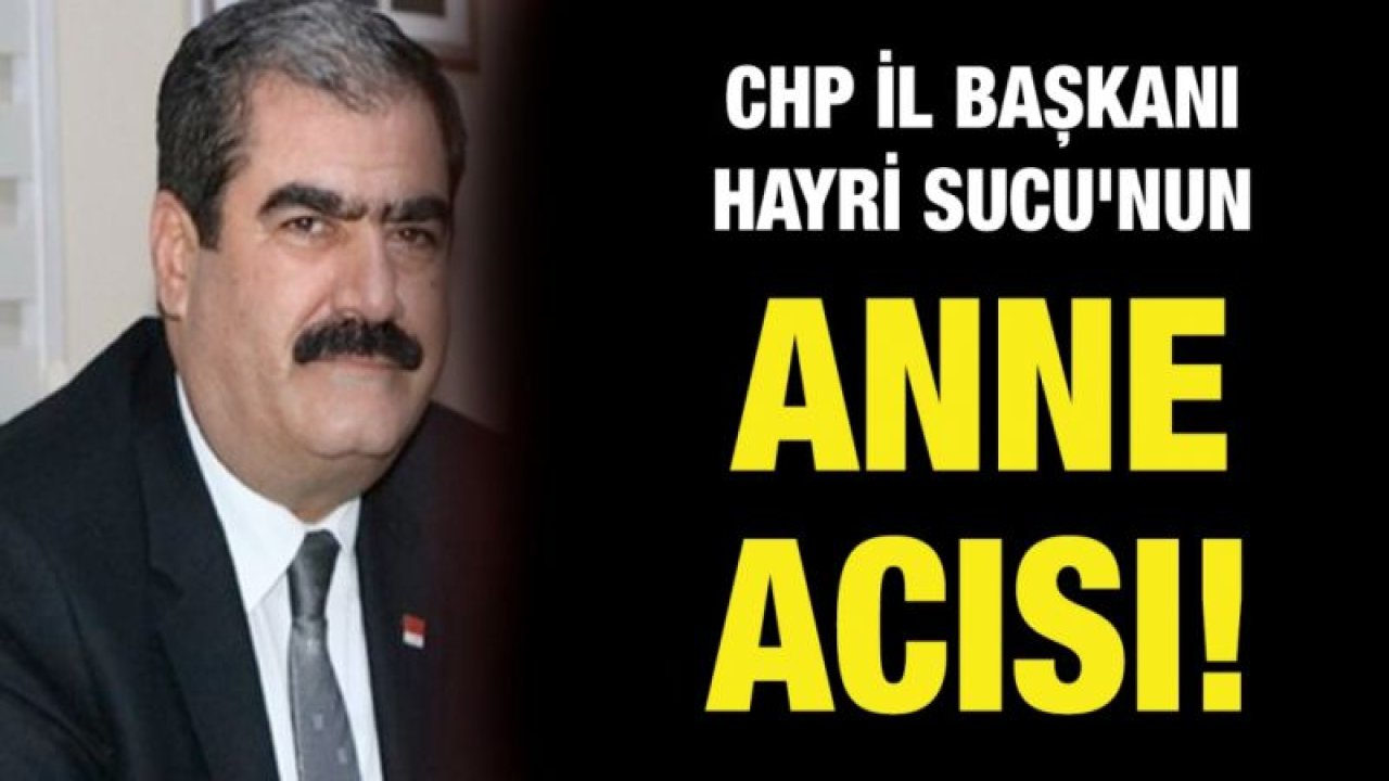 Hayri Sucu'nun anne acısı!