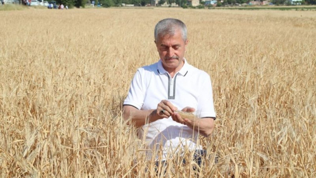 Başkan Tahmazoğlu çiftçinin hasat sevincine ortak oldu