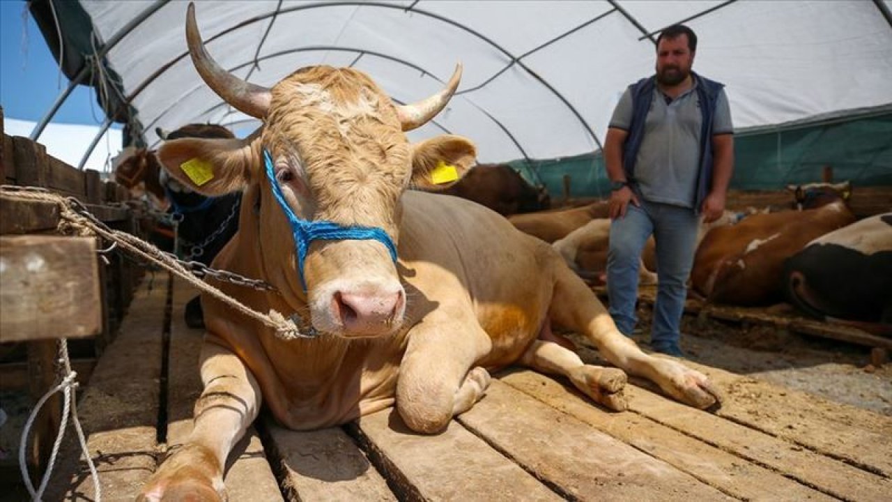 14 Milyon Emekli İçin Son Dakika Açıklaması: En Az Bir Kurbanlık Parası Emekli İkramiyesi Verilmeli!