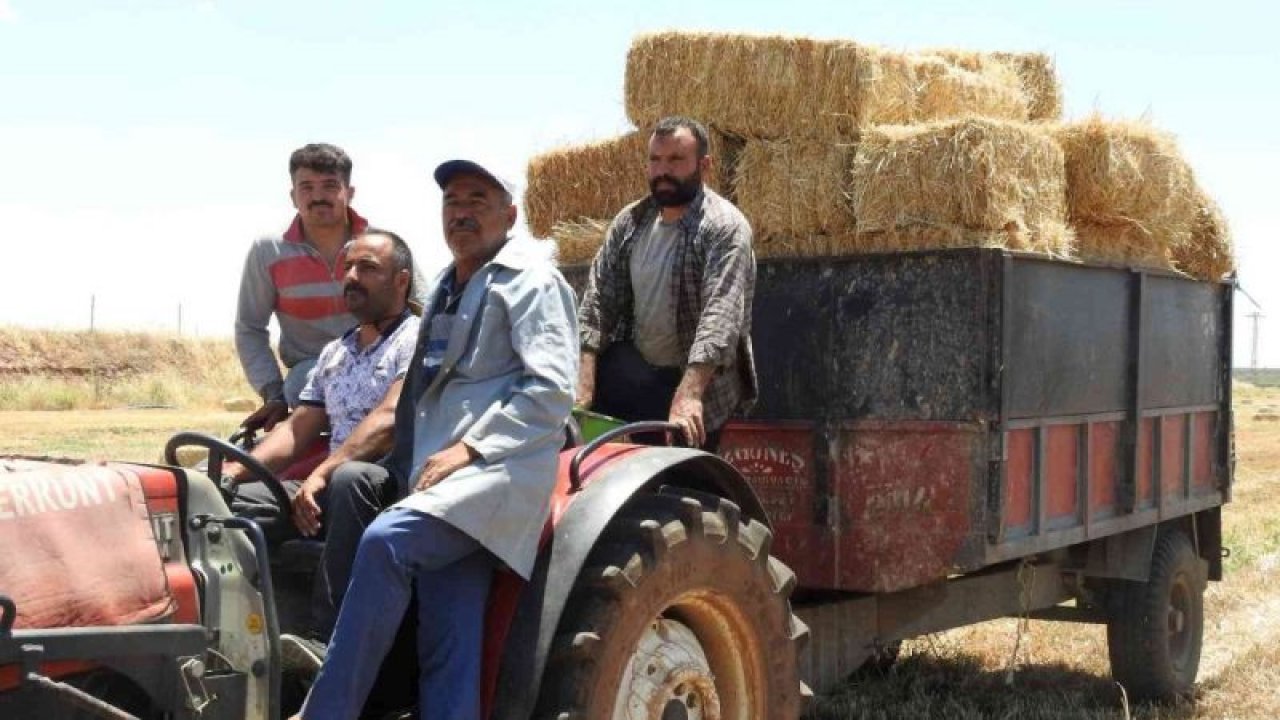 Türkiye’ye örnek muhtar Gaziantep'ten... Muhtarın yaptığı iyiliği herkes konuşuyor