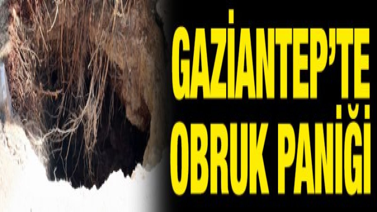 Gaziantep'te obruk paniği